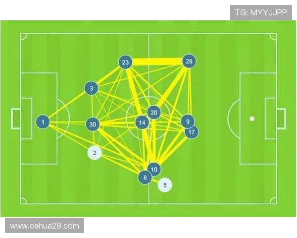 成都排球队意识表现的深度数据分析与战术优化研究
