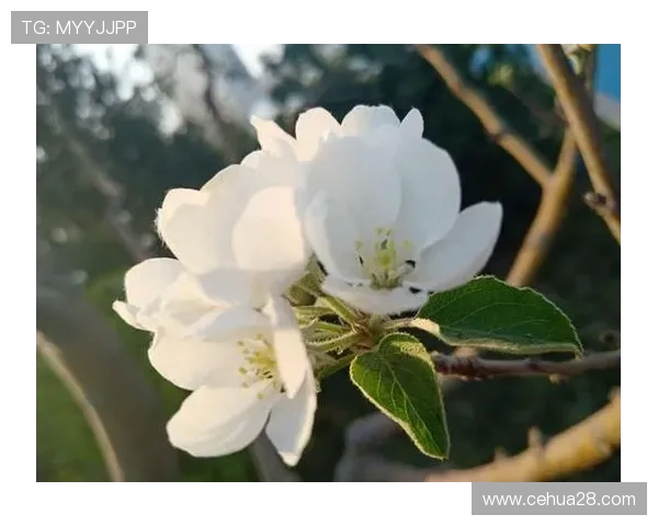 攀岩人生的深度对话:陈敏如何在挑战中找到自我与激情 攀岩人生的深度对话:陈敏如何在挑战中找到自我与激情