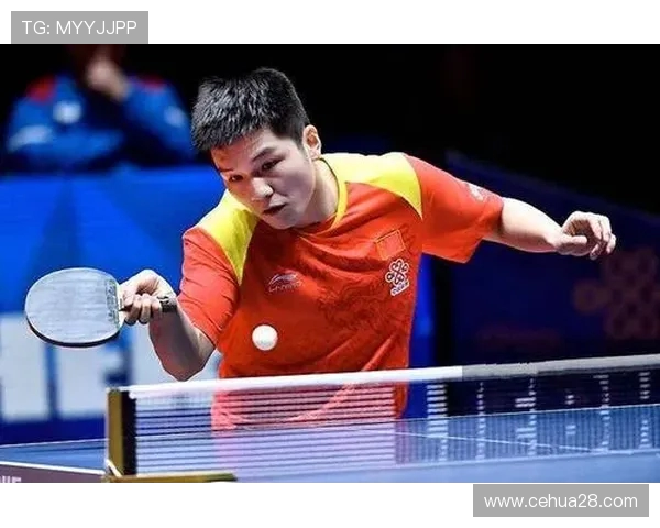 杭州乒乓球队技术对比深度解析与未来发展趋势探讨