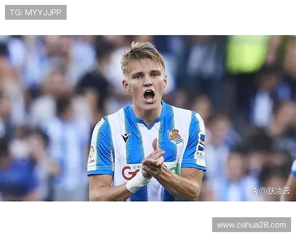 厄德高：从天才少年到足球巨星的成长之路与辉煌成就