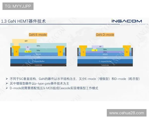 墨尔本骑士与休城精彩对决直播全程回顾与分析
