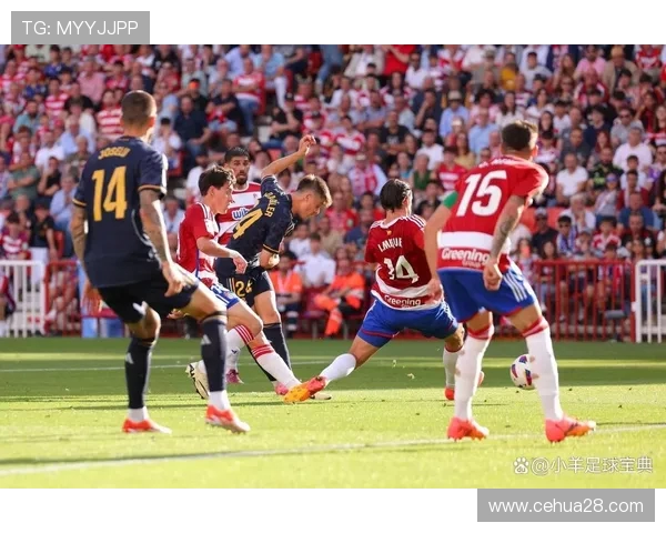 奥德与罗森博格对决分析揭示双方战术与实力差异