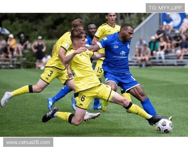 惠灵顿凤凰与中部海岸队员激战正酣精彩瞬间回顾与分析