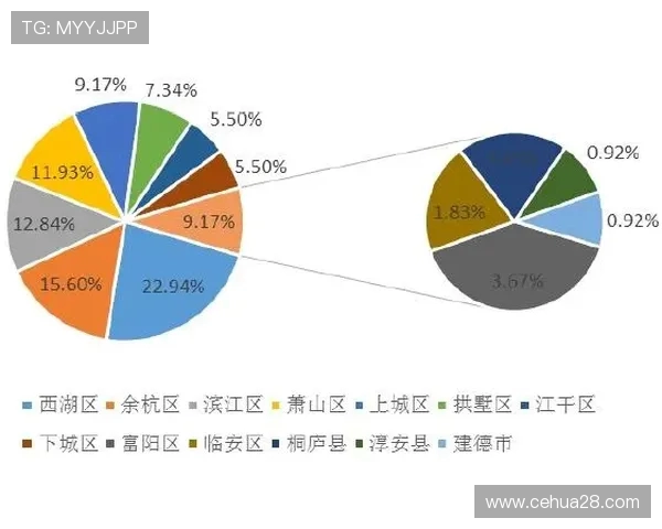 杭州飞盘队的转型之路：从传统到创新的全面升级与发展探索