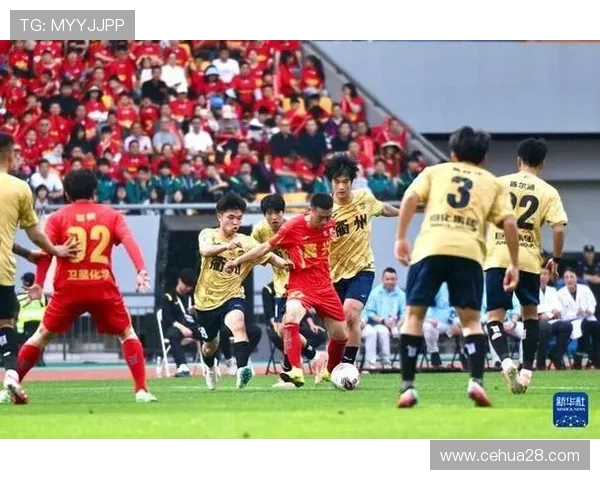 杭州足球队在城市联赛中的团队协作表现分析与点评